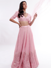 Load image into Gallery viewer, Hoor Chand Lehenga