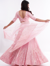 Load image into Gallery viewer, Hoor Chand Lehenga